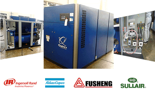 ���Џ����g�F�,�����͑������������ƿ՚≺�s���w��Q������